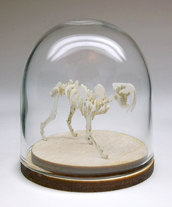 Scheletro di dinosauro di carta in miniatura in cupola di vetro - Keblog  Shop